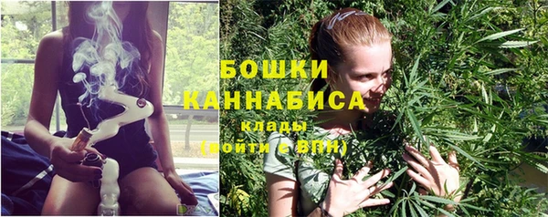 молекула духа Киров